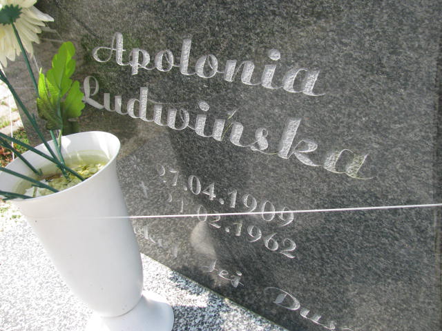 Apolonia Ludwińska 1909 Warta Bolesławiecka - Grobonet - Wyszukiwarka osób pochowanych