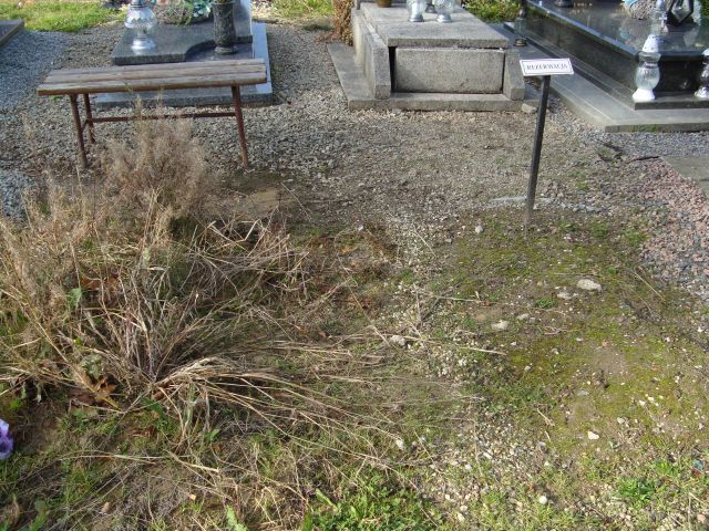 Maria Gałbiuk 1896 Warta Bolesławiecka - Grobonet - Wyszukiwarka osób pochowanych