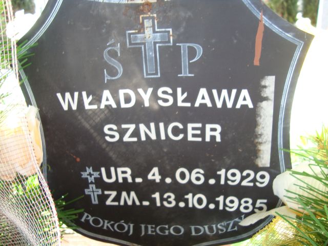 Grób Zbigniew Sznicer